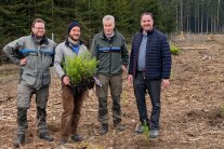 PAV mit Douglasie im AELF Bayreuth