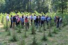 Viele Menschen auf einer freien Fläche im Wald, im Vordergrund in Reihen gepflanzte kleine Bäume