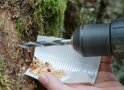 Holzspäne werden mittels eines Bohrers von einem Baumstamm auf ein weißes Blatt gebohrt