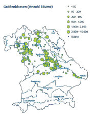 Feldahorn_Verbreitung nach Größenklasse