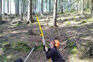 Mann mit orangefarbigem Helm kniet im Wald auf dem Boden, in der Hand eine gelbe Stange