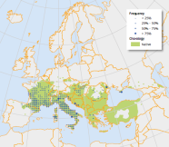 Vorkommen Flaumeiche_Grafik