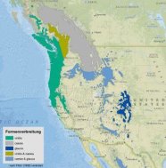 Douglasie_Natürliches Verbreitungsgebiet