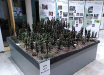 PM_5_Ausstellung_Denkmal