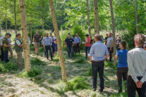 Viele Menschen stehen an einem Sommertag locker verteilt zwischen Waldbäumen