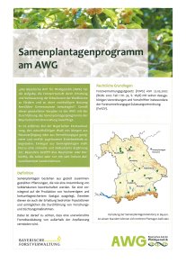 Infoblatt_Samenplantagenprogramm