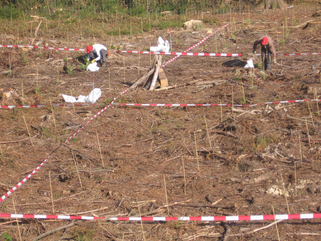 Ein Feld, rot-weiße Bändern unterteilen die Fläche in Quadrate, im Hintergrund Menschen