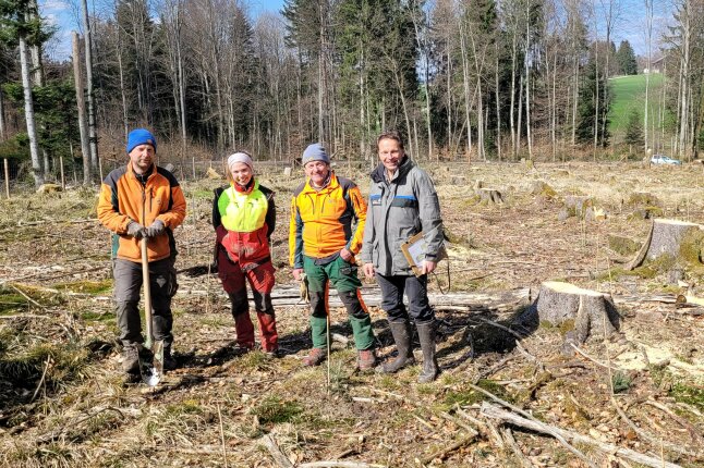 Vier Personen in Arbeitskleidung (drei Männer und eine Frau) stehen nebeneinander auf einer gerodeten Waldfläche. Sie lächeln freundlich in die Kamera. Im Hintergrund stehen hohe Bäume. Auf der kahlen Fläche wurden junge Weißtannen gepflanzt. Die Pflanzstellen sind mit Stäben markiert.