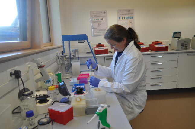 Frau mit weißem Kittel und blauen Handschuhen sitzt mit Pipette am Labortisch 