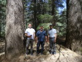 Drei Männer neben Baumstamm